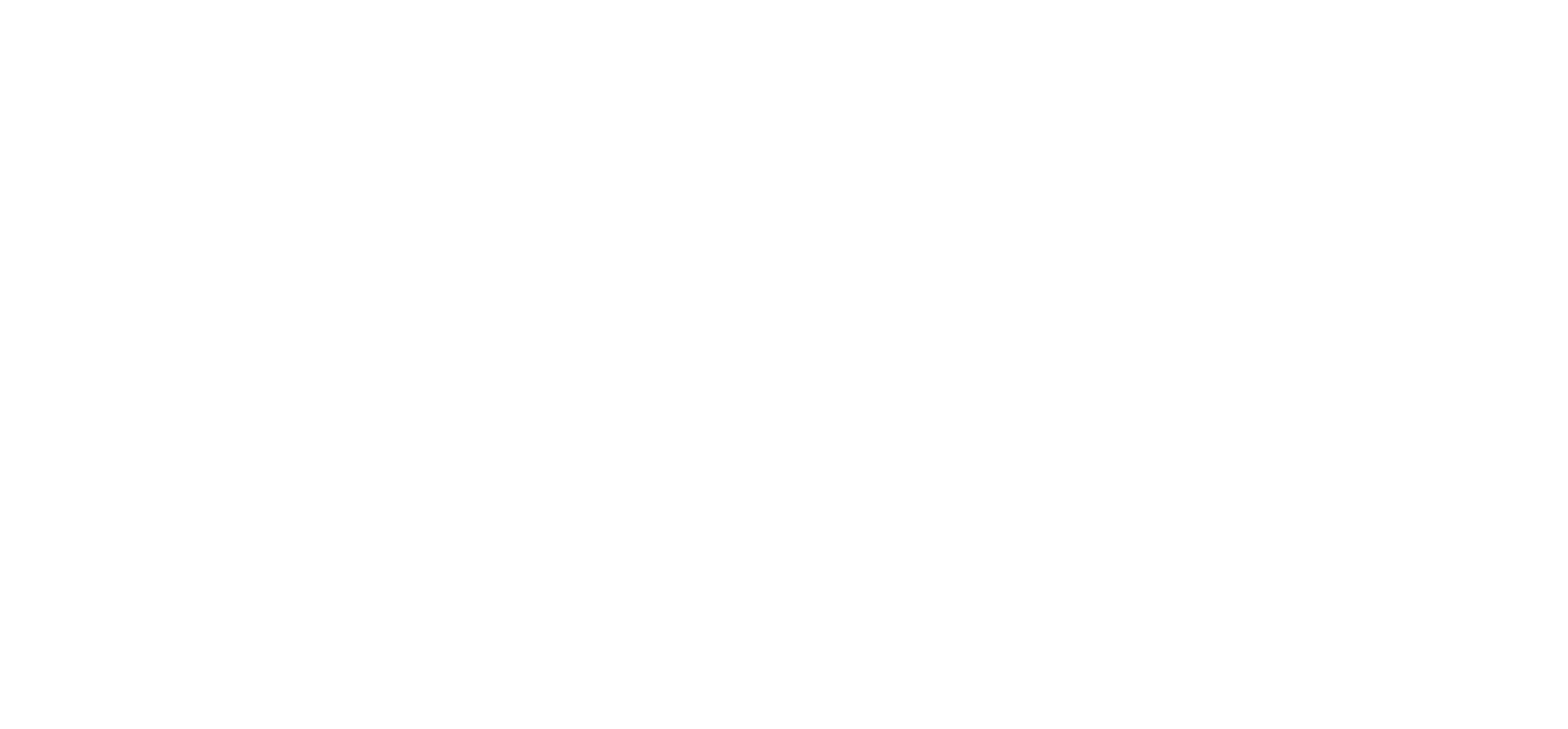 Project11